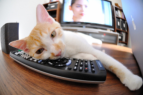 九游下载官网-“未来之星：全国青少年足球明星评选正式启动”，中国足球少年未来之星