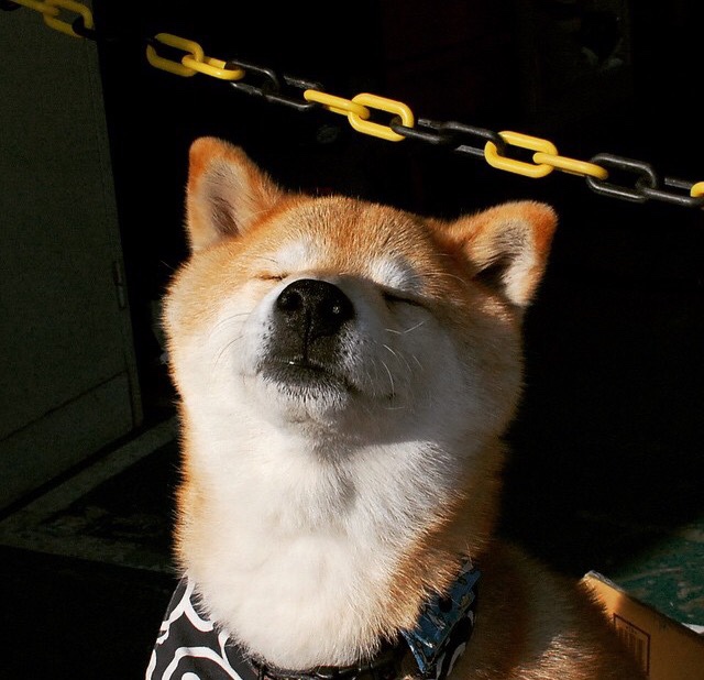 九游（jiuyou.com）游戏-“未来之星：全国青少年足球锦标赛激烈厮杀”，未来少儿足球俱乐部