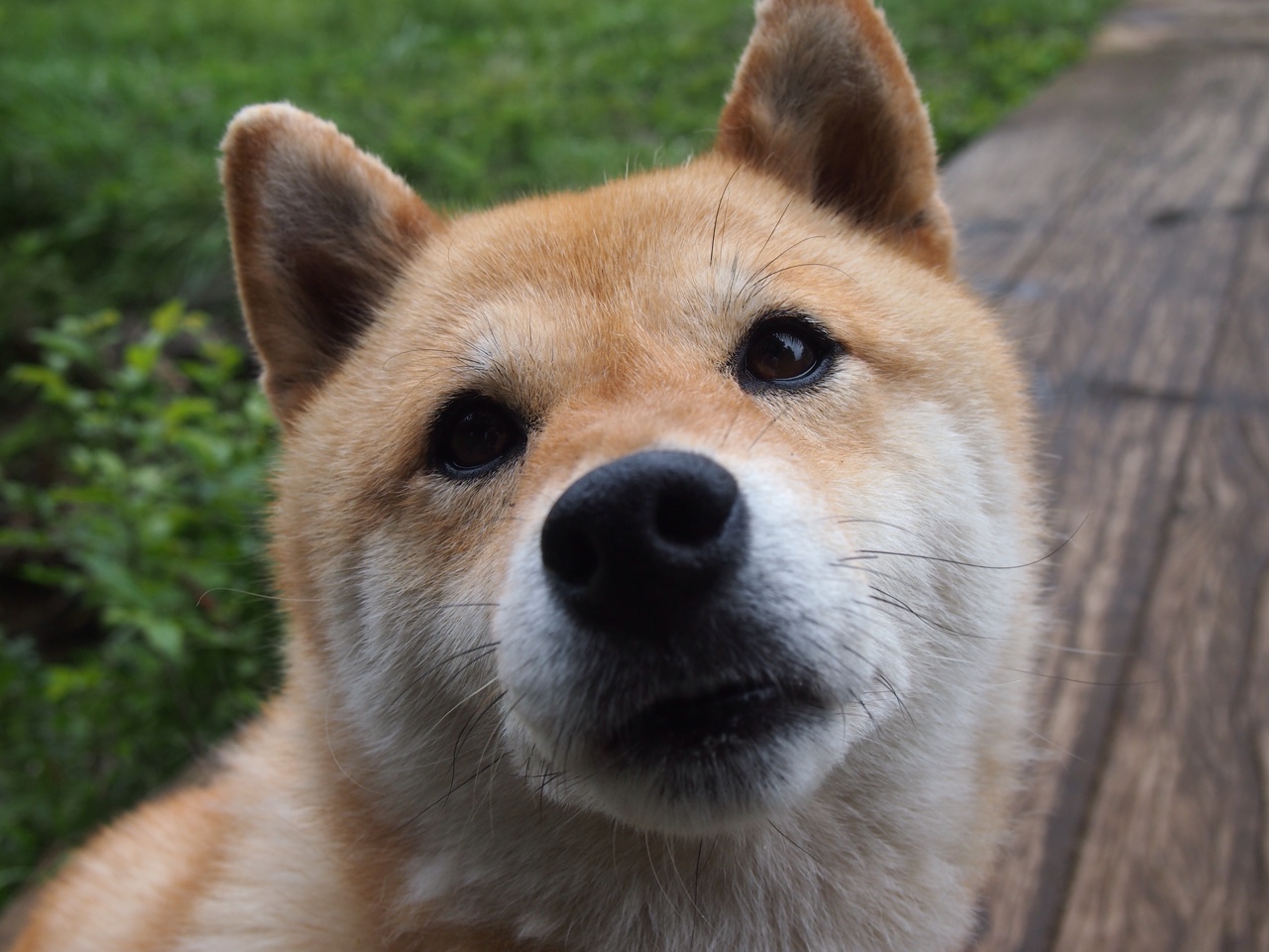 九游网页版官网-《Valorant新纪录破发，年轻战队逆袭成焦点》，valorant新英雄介绍