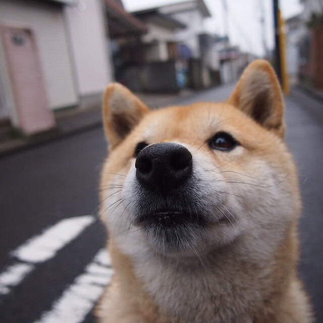 九游网页版入口-足球与科技融合展览展示训练新趋势，足球和科技之间的联系