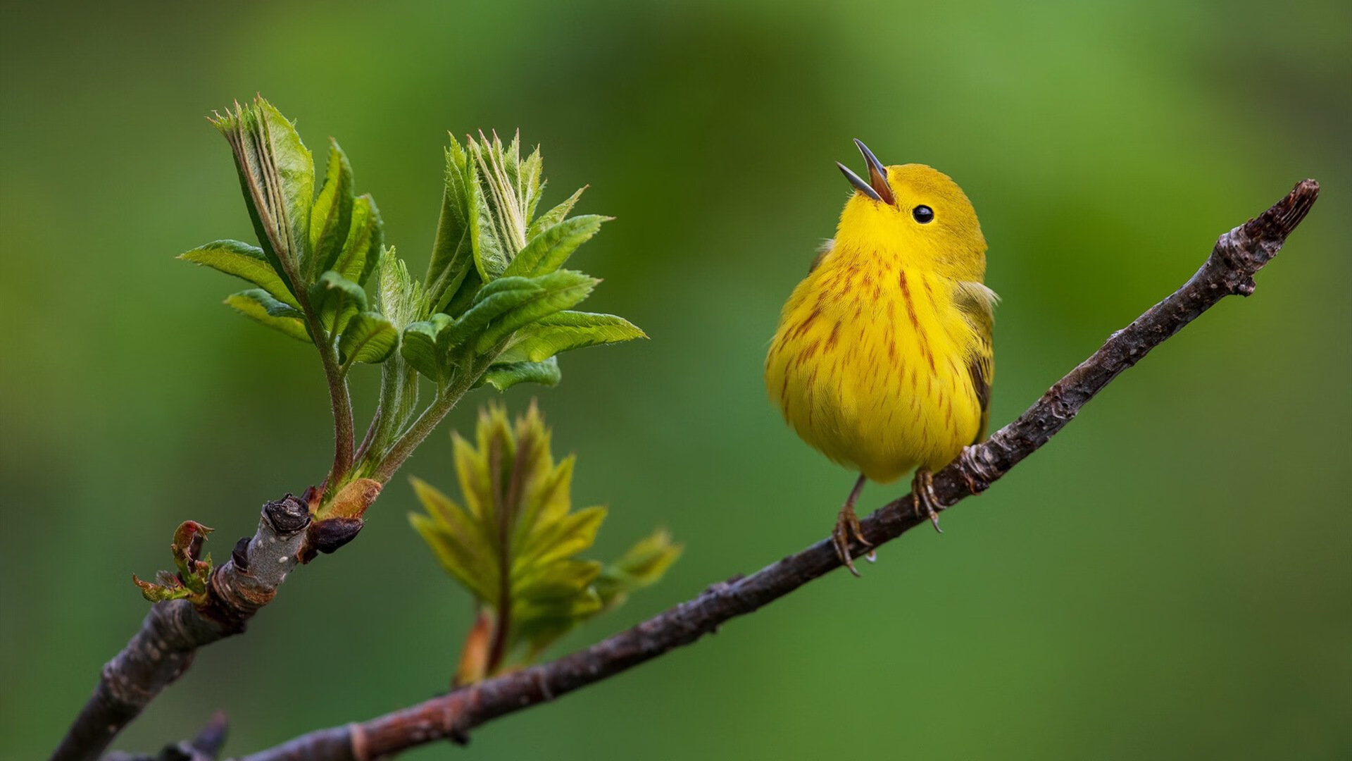 足球专项科研支持政策覆盖各级联赛,足球课题立项申报