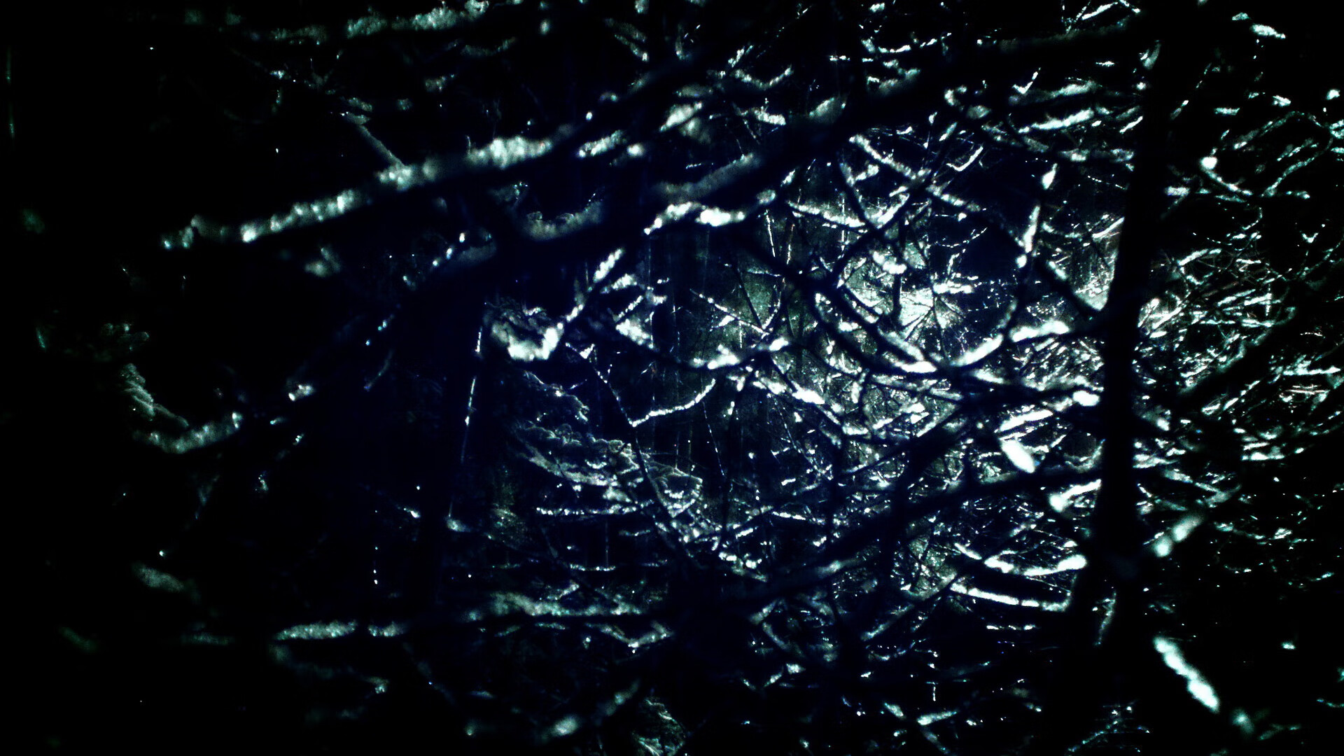 全民健身公共服务提质升级，满足群众多元需求，全民健身服务中心是什么单位