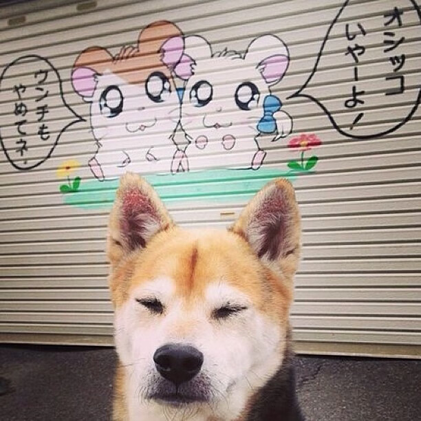 多特蒙德对阵利物浦,强强对话局面扑朔迷离!,多特蒙德vs里斯本竞技首发