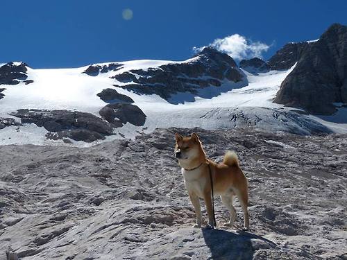 Jiuyou-普拉提课程在老年人群体中推广，改善身体功能，普拉提 老人