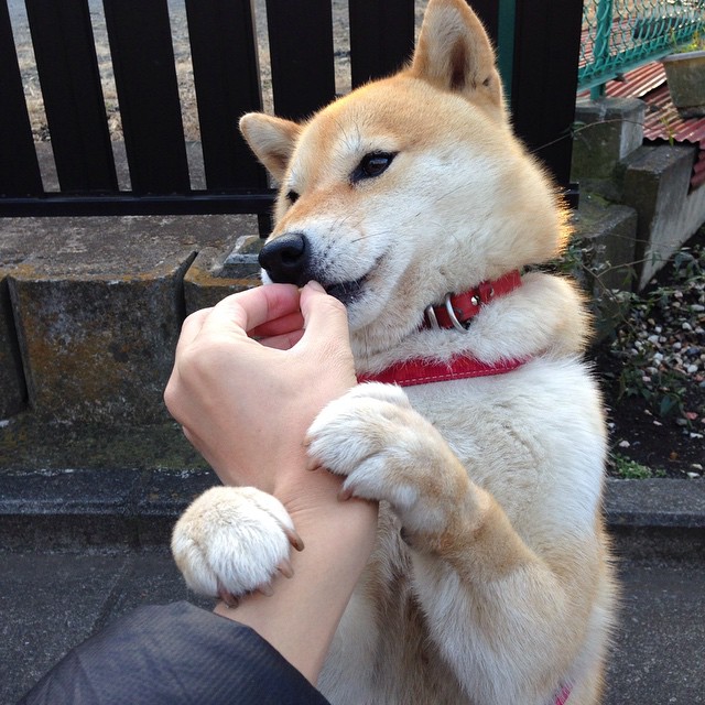 九游登录入口-外线射手的跑位技巧分析，外线射手的跑位技巧分析视频