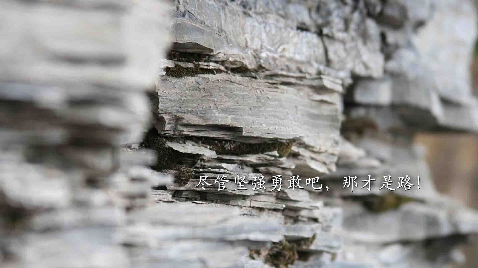 九游娱乐官网 (JIUYOU)-球员平均年龄约23.5岁，年轻阵容为主，足球球员平均年龄