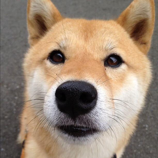 瑞典队未来发展展望：如何在年轻球员中注入更多活力，瑞典球队强吗