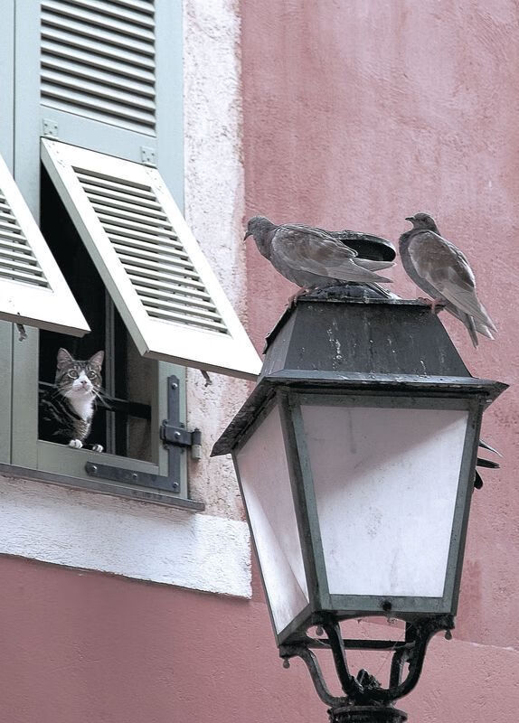 九游游戏中心官网-皇马青训持续发力，新星不断崭露头角