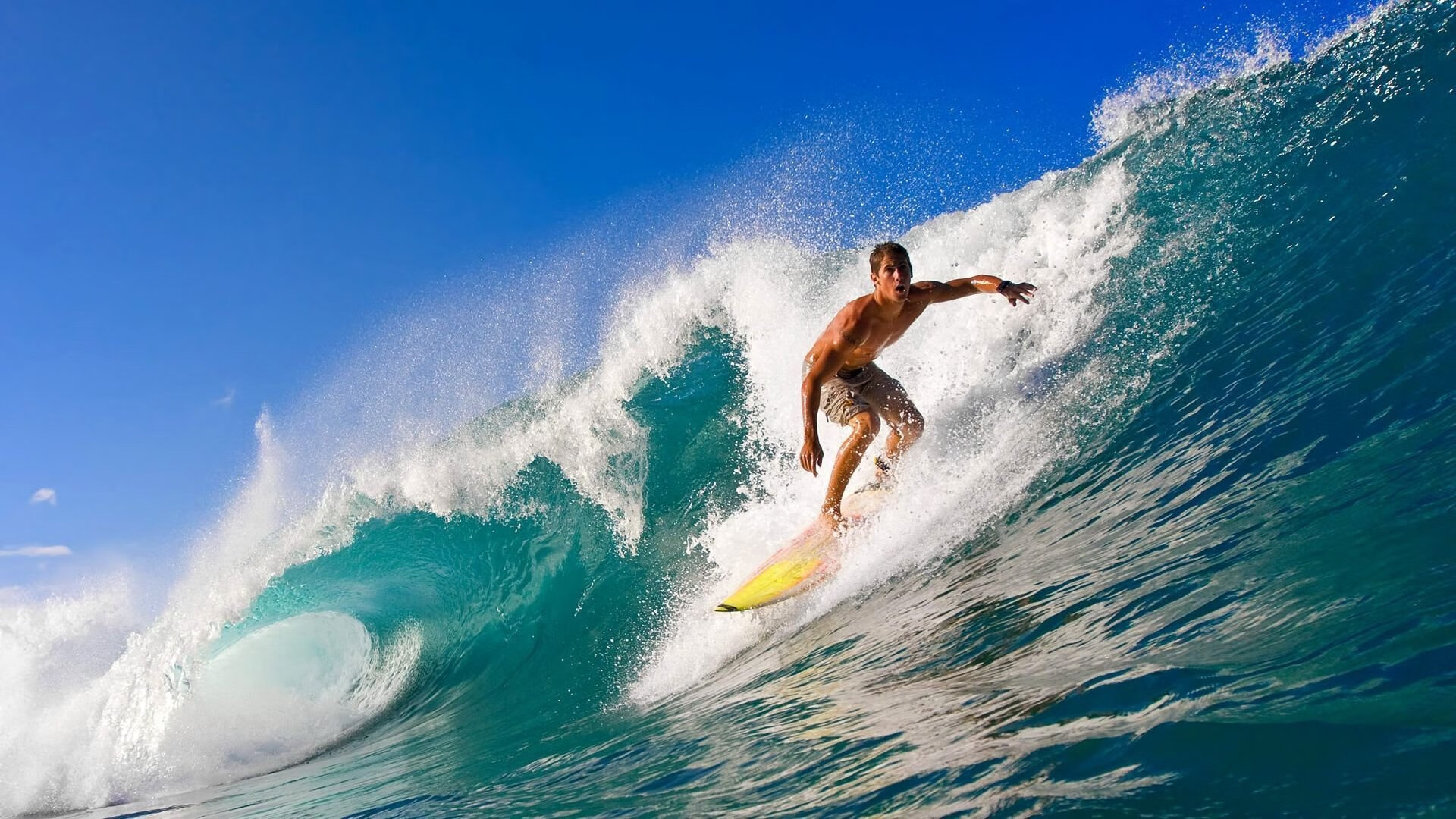 九游官网pc-美国队女子4×200米自由泳接力决赛成绩可圈可点，女子4×200米自由泳接力美国选手